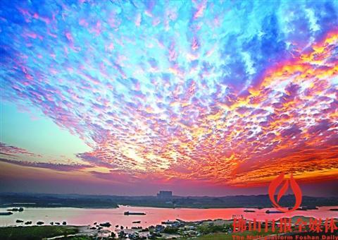 中國僑網(wǎng)