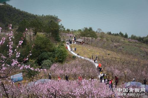 中國僑網(wǎng)