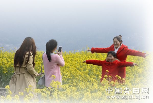 中國僑網