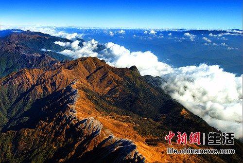 中國(guó)僑網(wǎng)