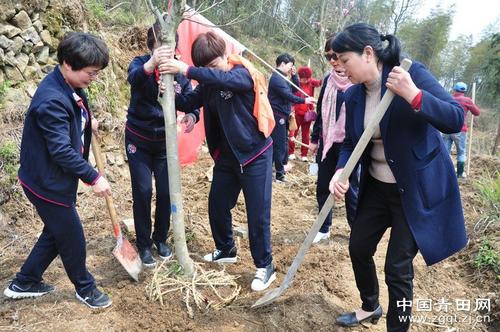 中國僑網(wǎng)(中國青田網(wǎng))