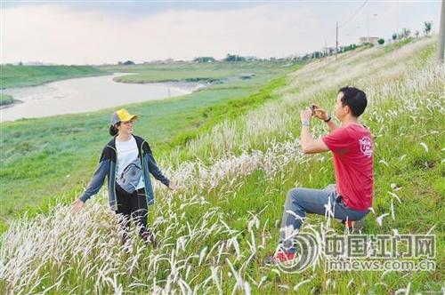 中國僑網(wǎng)