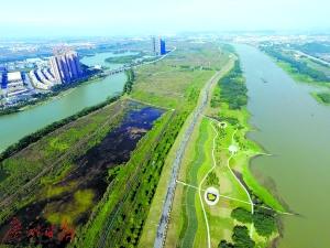 中國僑網(wǎng)位于禪城區(qū)的綠島湖濕地公園 廣州日報全媒體記者龍成通攝