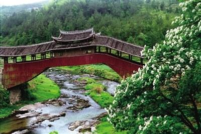 中國(guó)僑網(wǎng)去年秋天被臺(tái)風(fēng)沖毀的文興橋,,很快又會(huì)重現(xiàn)在這山花爛漫的溪澗之上,。 蕭云集 攝