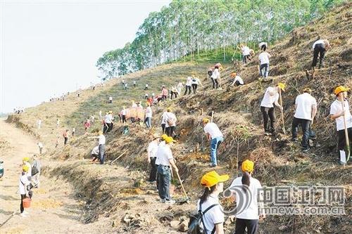中國僑網(wǎng)活動當(dāng)天,500多人種下樹木約4500株,。圖為熱火朝天的活動現(xiàn)場,。