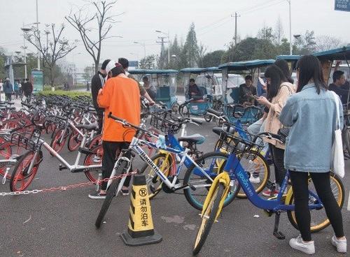 中國僑網(wǎng)共享單車最先受到大學(xué)生歡迎,。余日遷 虞賓/攝