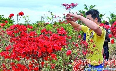 中國(guó)僑網(wǎng)