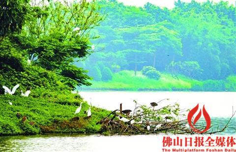 中國僑網(wǎng)