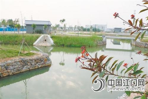 中國僑網小海河濕地公園為周邊環(huán)境增色添彩。