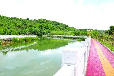 中國(guó)僑網(wǎng)圖為潮州新塘溪親水平臺(tái)建設(shè)已完工,成為該鎮(zhèn)又一道亮麗的風(fēng)景線,。本報(bào)記者 陳宏文攝