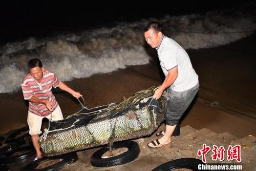 中國僑網(wǎng)深圳南澳漁民應(yīng)戰(zhàn)臺風(fēng)“苗柏”來襲 陳文 攝