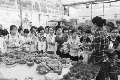中國僑網(wǎng)泉州師院附小學(xué)生赴花博園學(xué)習(xí),助力“班班開展花卉養(yǎng)護(hù)”實(shí)踐工程,。