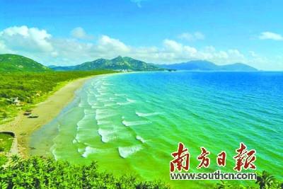 中國僑網(wǎng)臺山市川島鎮(zhèn)將改造紅樹林和沙灘防護(hù)林,。資料圖片
