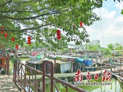 中國僑網(wǎng)北區(qū)村的避風(fēng)塘面積約22畝,100多艘船停放其間,。資料圖片