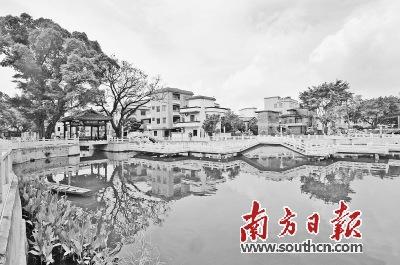 中國(guó)僑網(wǎng)南莊龍津村改造后環(huán)境優(yōu)美的良寶維則公園,。 戴嘉信 攝