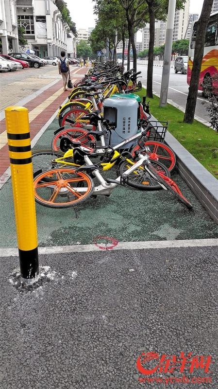 中國(guó)僑網(wǎng)兆祥路上的自行車(chē)道