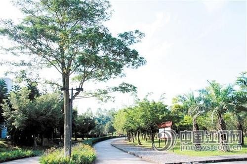 中國(guó)僑網(wǎng)共和生態(tài)公園,。程建華 攝