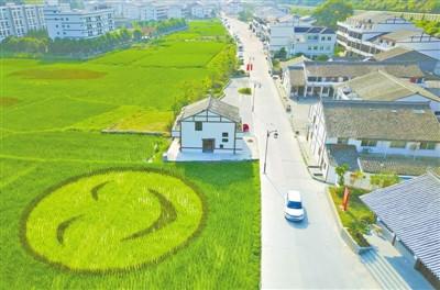 中國僑網(wǎng)