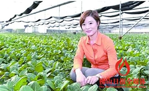 中國僑網(wǎng)張雯雯在田間察看農(nóng)作物生長情況,。