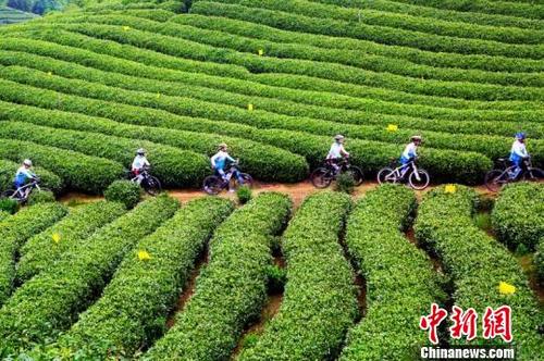 中國(guó)僑網(wǎng)圖片來源中新網(wǎng),。高曉苗 攝