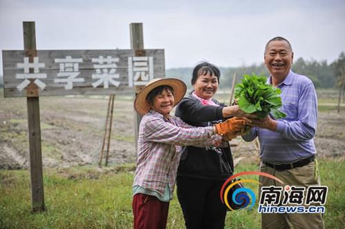中國(guó)僑網(wǎng)12月27日,,萬(wàn)寧山根鎮(zhèn)大石嶺村共享菜園迎來(lái)豐收的喜悅,第一波有機(jī)菜悄然成熟,,來(lái)自新疆的候鳥(niǎo)老人在自己租種的菜園親手播種,,等來(lái)享受豐收的喜悅和美妙的田園生活。海報(bào)集團(tuán)全媒體中心記者袁琛攝