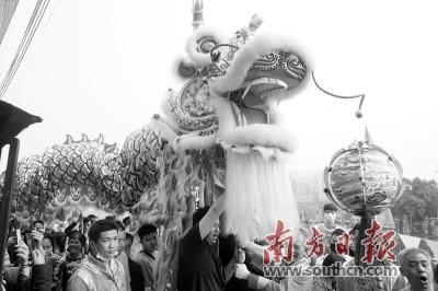 中國僑網(wǎng)整條金龍一共需要100多人才能舞起來,。