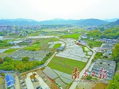 中國僑網(wǎng)地處鹿湖山下的南口鎮(zhèn)僑鄉(xiāng)村有500多年建村史,是著名的華僑之鄉(xiāng),。何森垚 攝