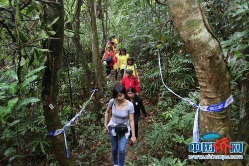 中國僑網(wǎng)資料圖:千人登僑鄉(xiāng)興隆鳳凰山?!∽苛罩病z