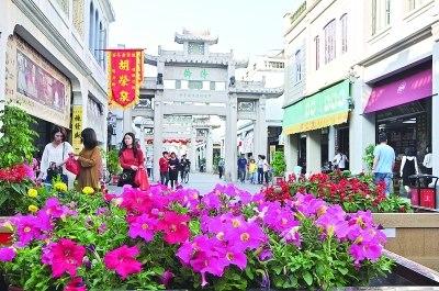 中國僑網(wǎng)牌坊街頭,碧冬茄花開,,喜迎四方游客,。
