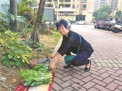 中國僑網(wǎng)途經(jīng)無人菜攤的阿姨購買青菜,,主動(dòng)把菜錢放進(jìn)水瓶里,。