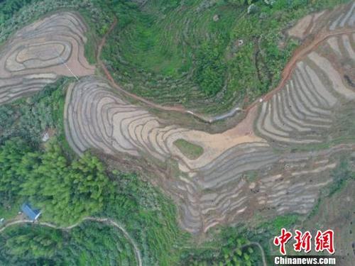 中國(guó)僑網(wǎng) 4月25日,航拍江西遂川梯田。從高處遠(yuǎn)眺,,梯田千層萬(wàn)階,形隨山變,,田中水映著天空,映著躬耕的農(nóng)民和犁地的水牛,勾勒出一幅絕美的田園山水畫(huà)卷?!》诧w揚(yáng) 攝