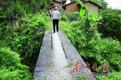 中國僑網(wǎng)在梅州岃古驛道上,,用石條砌成的百年古橋仍完好,。朱雙玲 攝
