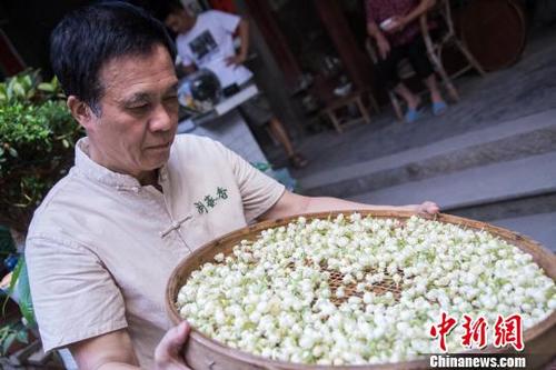 中國僑網(wǎng)圖為福州茉莉花茶工藝傳承大師高愈正在家中制作茉莉花茶,。 李南軒 攝