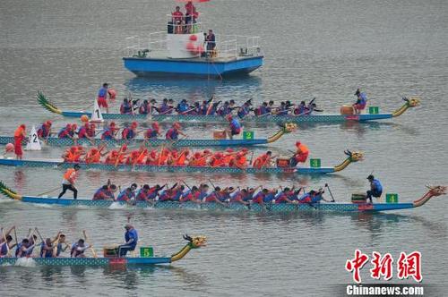 中國(guó)僑網(wǎng)參加比賽的龍舟顏色各異,有黃龍、白龍,、紅龍等 雷勇 攝