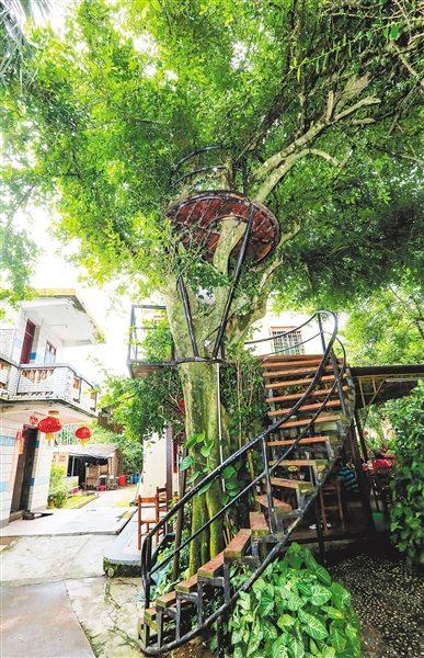 中國僑網(wǎng)瓊海市博鰲鎮(zhèn)南強村,。 本報記者 陳元才 攝