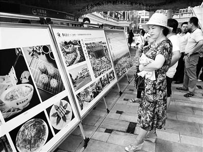 中國僑網市民游客在觀看圖片展。