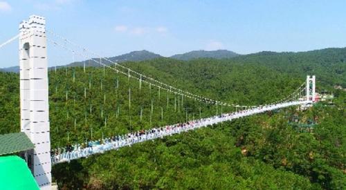 中國僑網(wǎng)佛山首座觀景玻璃橋向游客開放,。 主辦方供圖