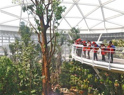 中國(guó)僑網(wǎng)4月14日,,植物館熱帶植物溫室內(nèi),,新京報(bào)小記者攝影組正在取景拍攝,。新京報(bào)記者 尹亞飛 攝