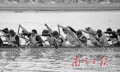 中國(guó)僑網(wǎng)今年的珠海市斗門(mén)區(qū)龍舟文化節(jié)將于5月19日舉行。圖為參賽隊(duì)伍正在緊張訓(xùn)練,。關(guān)銘榮 攝