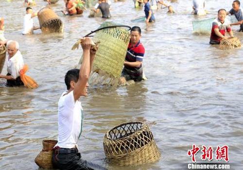中國(guó)僑網(wǎng)捉到大魚的民眾興奮不已,。奉力 攝