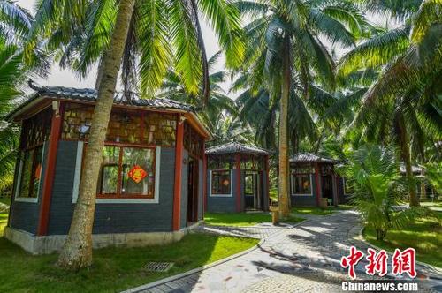 中國(guó)僑網(wǎng)文昌市龍樓鎮(zhèn)好圣村的村貌,?!●樤骑w 攝