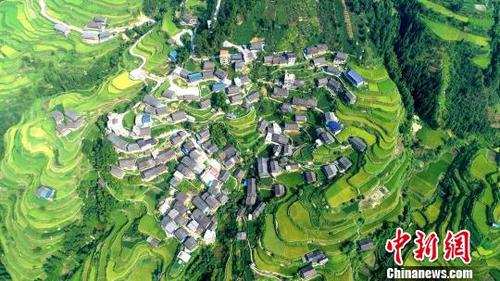 中國僑網(wǎng)梯田層疊,,與侗寨交相輝映,?!蔷殑住z
