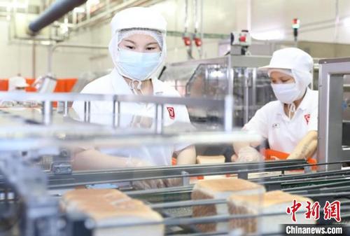 中國(guó)僑網(wǎng)東莞港企業(yè)嘉頓食品有限公司車間里,,工人戴著口罩在機(jī)器前忙碌?!±钣趁瘛z
