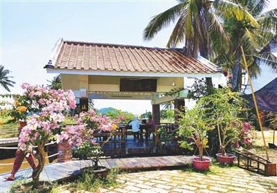 中國(guó)僑網(wǎng) 5月20日,,溪邊村三角梅花開正艷,,吸引游客前來(lái)賞花品咖啡。 海南日?qǐng)?bào)記者 袁宇 攝