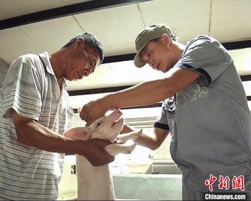 中國僑網(wǎng)李林森(右)在牧業(yè)公司,。李林森供圖