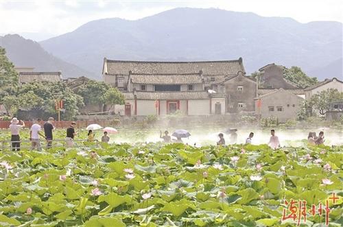 中國(guó)僑網(wǎng)潮安區(qū)歸湖鎮(zhèn)獅峰村白鷺湖。 陳宏文 攝