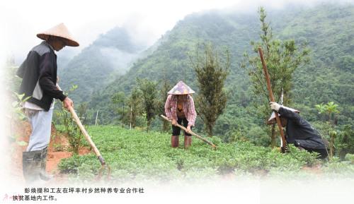 中國(guó)僑網(wǎng)