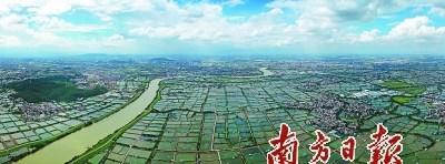 中國(guó)僑網(wǎng)桑園圍的治水歷程,,在很大程度上構(gòu)建了一個(gè)水利治理的共同體,也是一部生動(dòng)的佛山社會(huì)互動(dòng)史,。 南方日?qǐng)?bào)記者 戴嘉信 攝