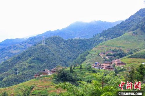中國僑網(wǎng)圖為洪門寨梯田風(fēng)光。 楊宗盛 攝