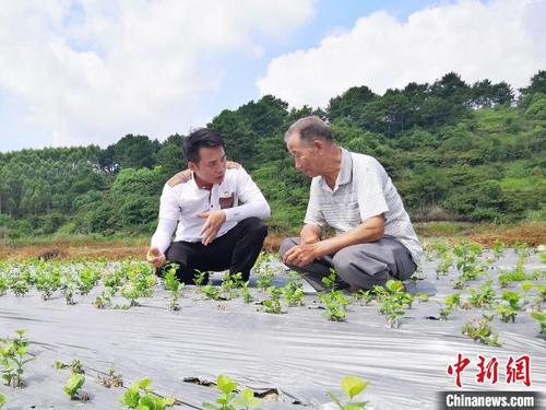 中國僑網(wǎng)圖為閉東海傳授茉莉花盆栽種植技術(shù)給村民,?!∧z